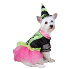 NEW! Zack & Zoey Witchy Business Costume Green