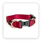 Dog Collars
