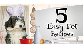 5 Easy Pet Recipes