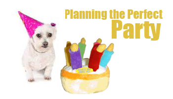 Plannign the Perfect Party