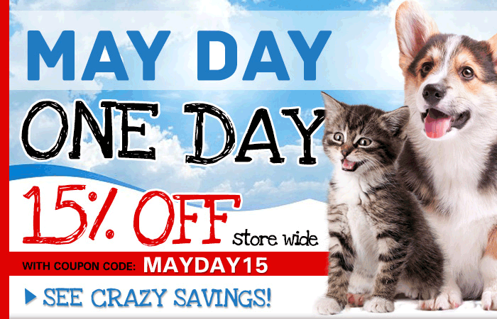 One Day Sale