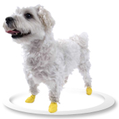 Pawz Dog Boots