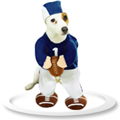 Football Fever Dog Costume