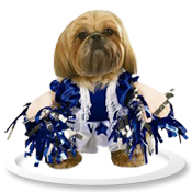 Spirit Paws Dog Costumes