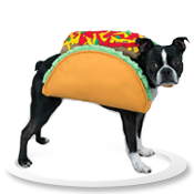 Casual Canine Taco Costume