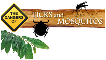 The Dangers of Ticks and Mosquitos
