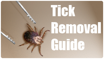 Tick Removal Guide