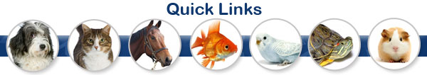 Quick Links