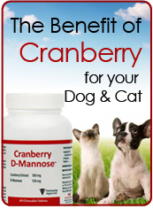 Cranberry Benefits for Dogs and Cats