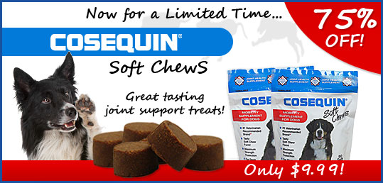 Cosequin Soft Chews