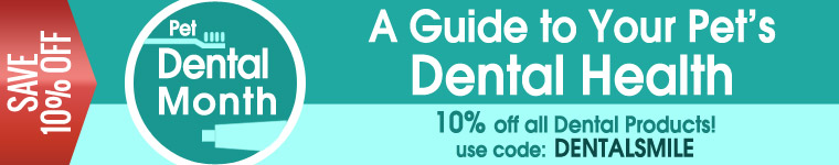 Dental Month Sale