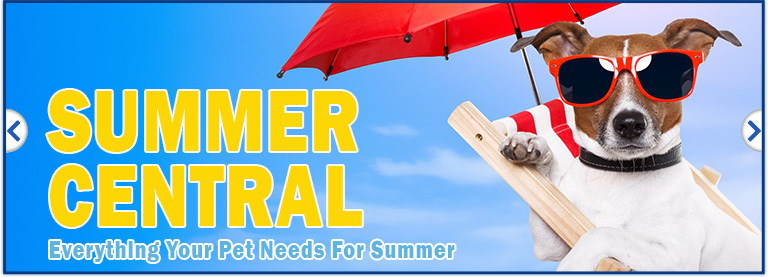 Summer Central