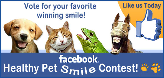 Facebook Smile Contest