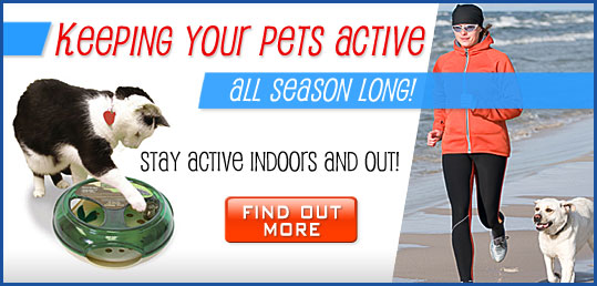 Keeping your Pet Active