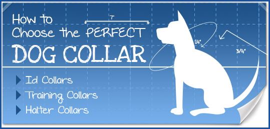 Collar Guide
