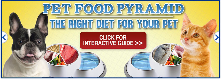 Pet Food Pyramid