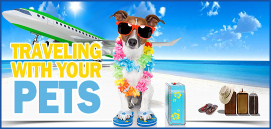 Pet Travel Guide