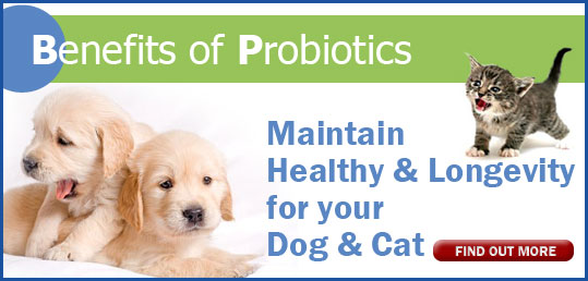 Probiotics