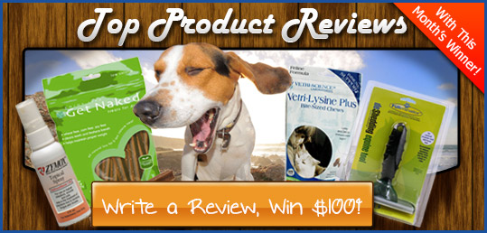 Top Product Reviews