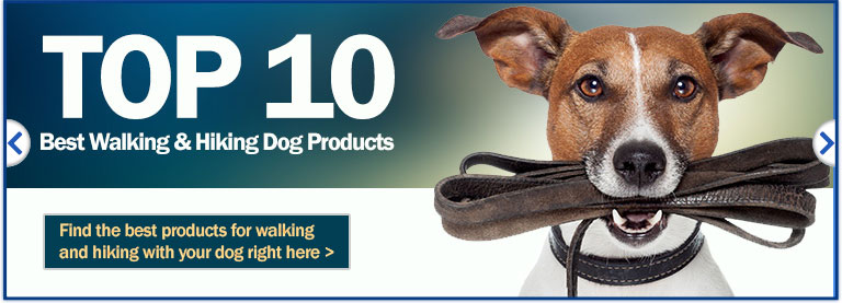Top 10 Walking & Hiking Dog Products