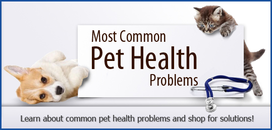 Top 10 Pet Health Problems