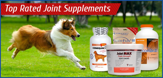 Top Joint Supplements