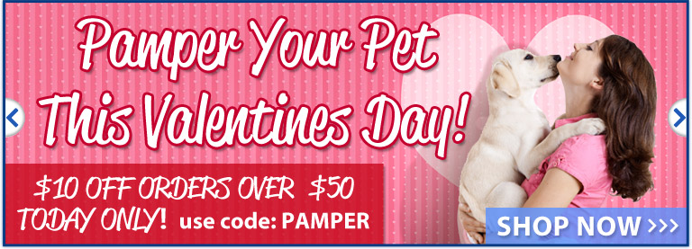 Valentine's Day Store