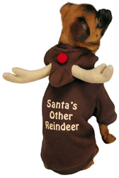 Casual Canine Reindeer Hoodie
