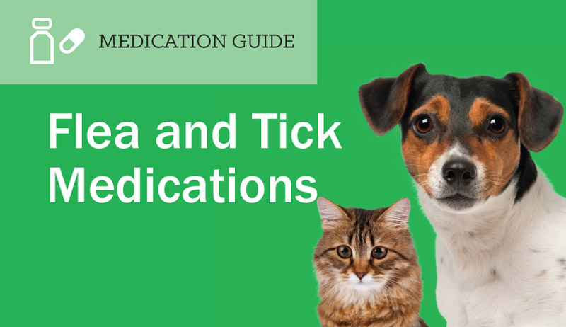 Flea & Tick Medication Guide EntirelyPets Rx