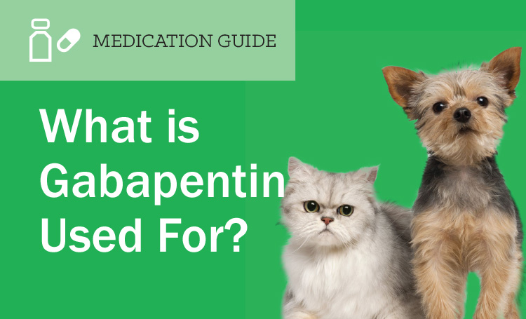 What is Gabapentin Used For?