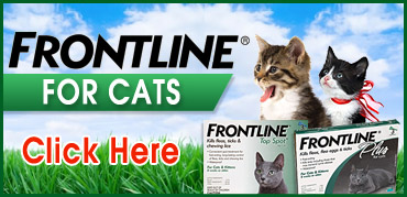 Frontline for Cats