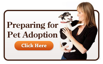 Preparing to Adopt a Pet