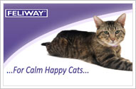 Feliway For Calm Happy Cats