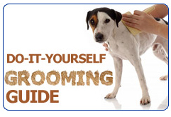Grooming Guide