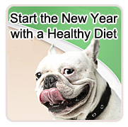 Start the New Year with a Healthy Diet