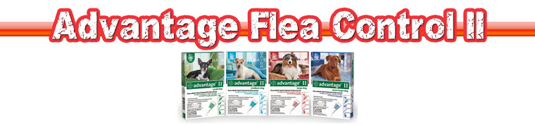 Advantage Flea Control II