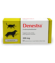 Denestra 200 mg (60 Tablets)