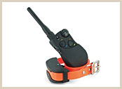 HoundHunter A-Series 2 Mile Remote Trainer
