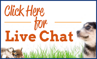 HealthyPets Live Chat