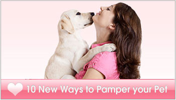 Pampering Your Pet