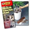 Sticky Paws for Cats