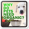 is organic pet food necessary