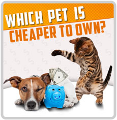 Which Pet is Cheaper to Own?